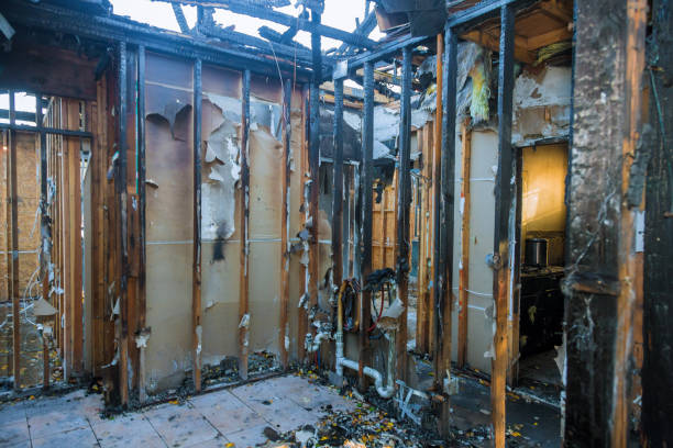 Professional Soot Cleanup technician working in Crenshaw, MS